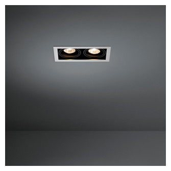Mini-Multiple Recessed Adjustable MR16 2x DE Aluminium Matt - Black Matt
